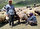 Yaylada koyun kırpan besiciler de son yıllarda köydeki küçükbaş hayvan sayısının azaldığını, buna rağmen çoban bulmakta sıkıntı çektiklerini dile getirdi. 