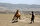 Çocukluğundan beri atlara merakı olduğunu belirten Nefespur, şehir hayatını bırakıp tamamen köye yerleştiğini, halihazırda 35'e yakın atla bir evde bulunması gereken tüm çiftlik hayvanlarını beslediğini ifade etti.<br>