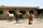 Bazı yetiştiriciler, "merasim atı" olarak da adlandırılan gösteri atları ile güzellik yarışmalarına katılırken bazıları ise uzun yol atları ile turistlere Gülistan Ormanı'nda gezi ve kamp hizmeti veriyor.<br>