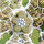 The Opera Park - Landscape and urban design project of the year