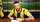 Fenerbahçe Skriniar'da sona yaklaştı <br><br><br>Fenerbahçe Milan Skriniar transferinde sona yaklaşıyor. İddiaya göre; sarı-lacivertliler, 30 yaşındaki Slovak stopere 3 yıllık sözleşme önerdi.<br><br>İngiltere ve İtalya’dan da ilgilenen kulüplerin olduğu, Skriniar’ın en iyi teklifi Fenerbahçe’den aldığı ve İstanbul’a tekrar dönmeye sıcak baktığı aktarıldı