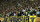 3-) Fenerbahçe – Genç Fenerbahçeliler