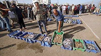 منع الاحتلال الإسرائيلي تسويق أسماك غزة بالضفة يُوقف حركة الصيد