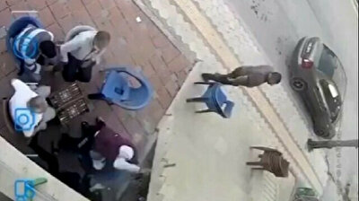 Hopeless men stand by and watch while axe-wielding lunatic hits woman in Turkey