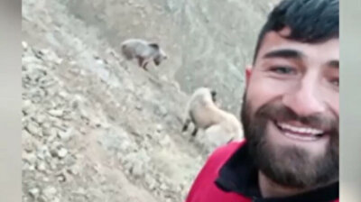 Man runs after bear to take selfie in Turkey