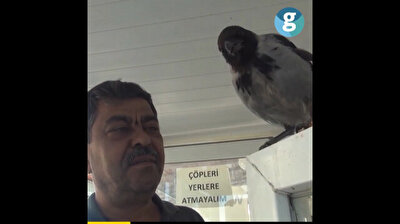 Cashier crow guards restroom in eastern Turkey