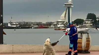 Istanbul sweepers scratch stray dog’s back with broomstick