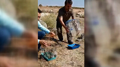 Turkey sets free 222 goldfinches en-route to Syria