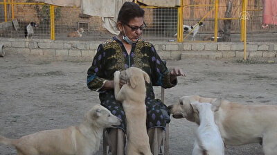 Dogs find love in Peshawar’s first-ever shelter