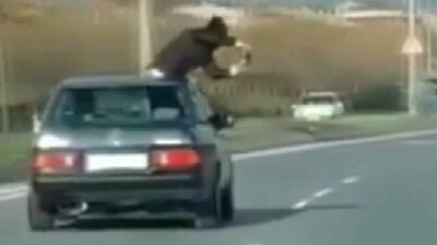 Things people do for 15 mins of fame: Man hangs out of moving car in Turkey