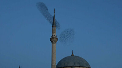 Flock of starlings dazzles as they swirl across the sky during Muslim call to prayer