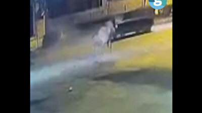 Galloping horse suffers injury after being hit by car in Turkey