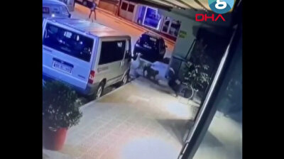 CCTV captures terrifying moment stray dogs attack girl in Turkey