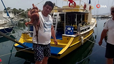 Huge octopus comes to shore in Turkey amid nationwide lockdown