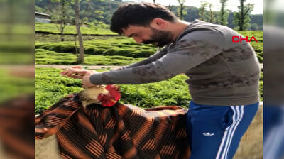 Turkish barber gives his rooster a haircut