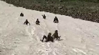 Summery delight: kids enjoy sliding down snow-covered slopes in eastern Turkey