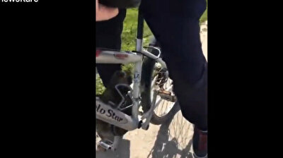 Terrified mouse catches ride on bicycle to escape hungry cat