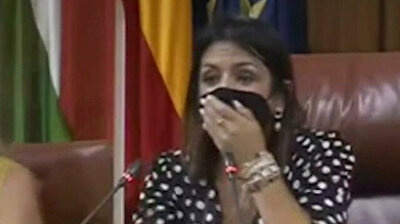 Rat causes havoc after sneaking into Andalusian parliament