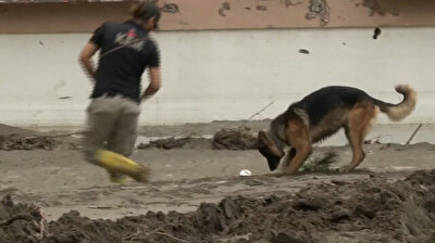 Cadaver dogs search for bodies amid mud in flood-ridden Turkey