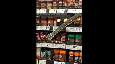 Snake slithers out to help customers in Australia supermarket