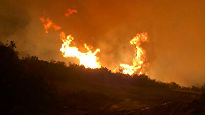 Firefighters completely extinguish infernal blaze in Turkey's Manisa province