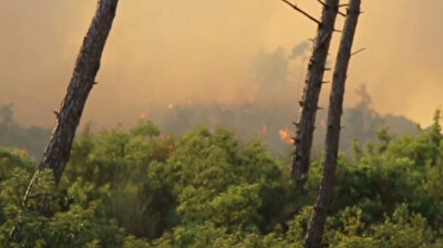 Forest fire erupts after Assad regime attacks in Syria's Turkmen Mount