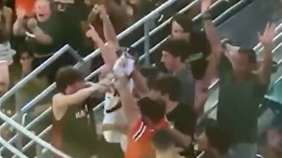 The Cat in the Flag: Fans rescue falling kitty with US flag during football game