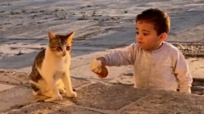 Video of toddler sharing bread with cat at al-Aqsa Mosque goes viral