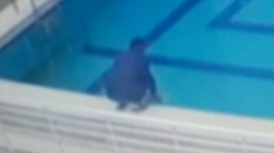 One-legged pigeon rescued from drowning in swimming pool in Turkey’s Bursa