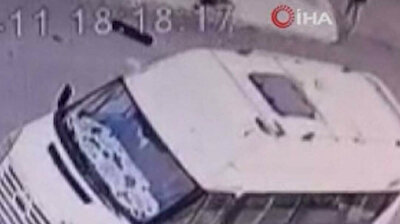 Pit bull bites 8-year-old boy’s face in Turkey