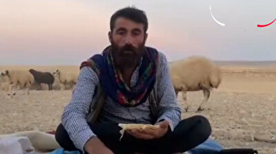 Hilarious Turkish shepherd throws tantrum after sheep steals his lunch