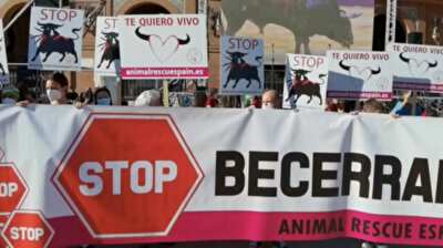 Spanish animal rights activists protest in Madrid to demand bullfighting ban