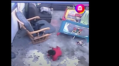 Cat prevents baby from rolling down stairs
