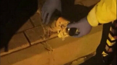 Kitten gets its head stuck in tin can in Turkey