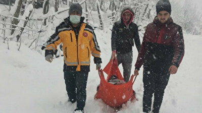 Special team braves snowstorm to get to ailing 87-yr-old granny in Turkey