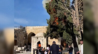 Trees at al-Aqsa burn after Israeli forces raid mosque