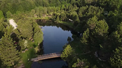 Spring comes to dazzling Domanic Mountains