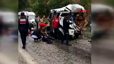 Eight killed, 10 wounded as wedding-goers slam into milk tanker in Turkey