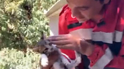 Turkish firefighters rescue kitten trapped behind wall