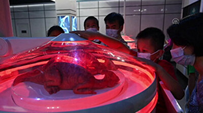 Jurassic World Film Exhibition kicks off in China’s Guangzhou