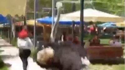 All hell breaks loose as naughty ostrich chases woman across outdoor cafe in Türkiye