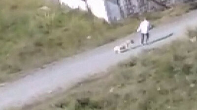 Heartless man drags dog from neck with rope in Istanbul