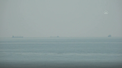 Three more ships carrying grain leave Ukrainian ports