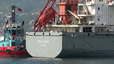 Grain carrying ship arrives at Türkiye's Derince port