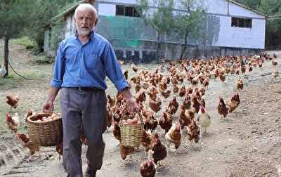 Aylik Kazanci Dudak Ucuklatiyor