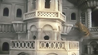 osmanli nin kus evleri yeniden canlaniyor
