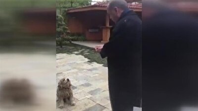 Erdoğan playfully gives treat to small dog