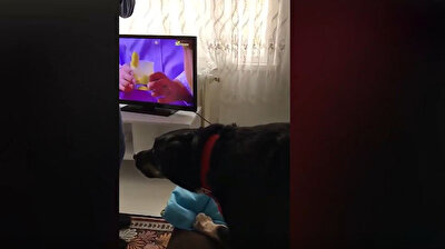 Dog protects young girl from her father