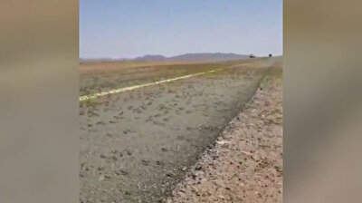 Iran battles worst locust plague in 40 years