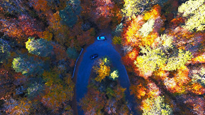 Picturesque fall landscapes in northwestern Turkey